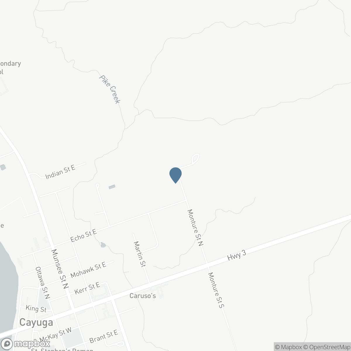 55 MONTURE Street N, Cayuga, Ontario N0A 1E0